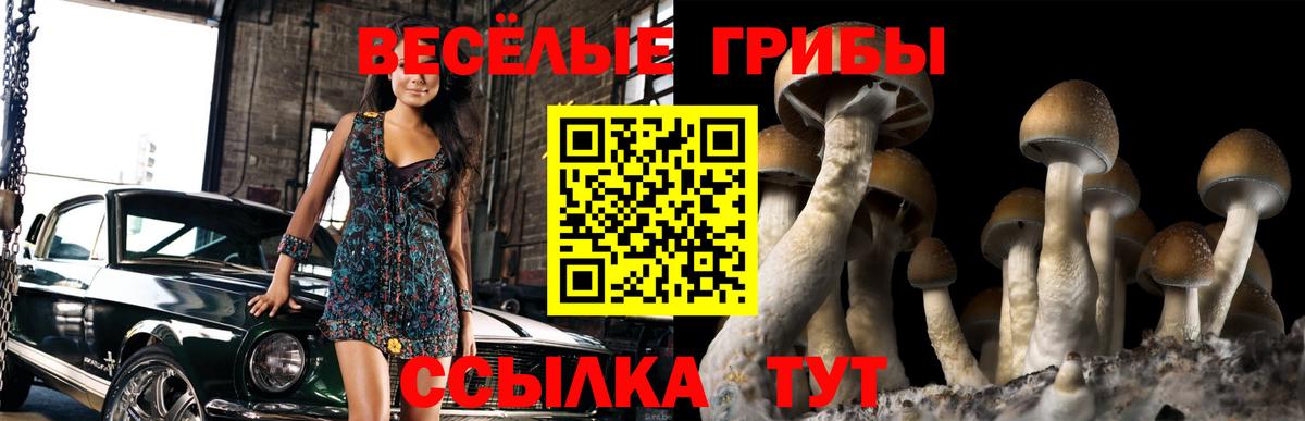 цены наркотик  Вход с VPN  Керчь  Галлюциногенные грибы ЛСД 